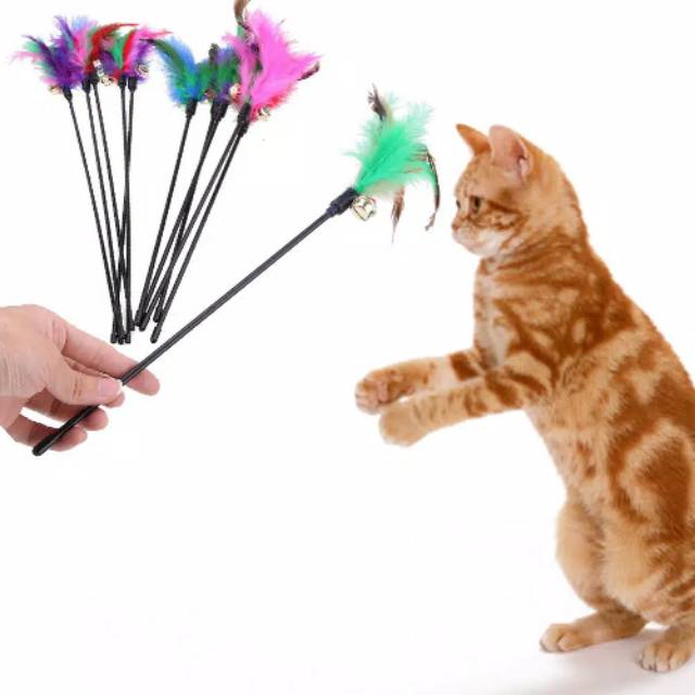 Mainan kucing tongkat bulu ayam lonceng