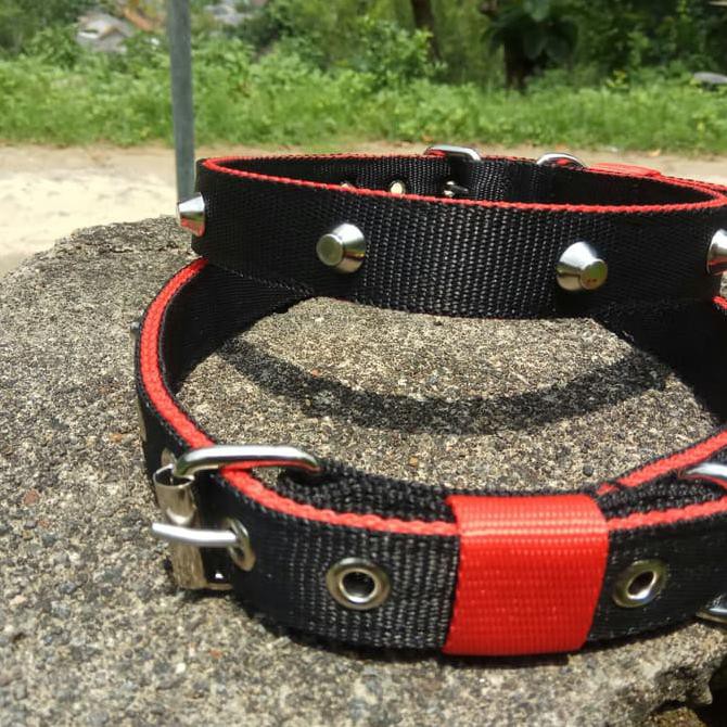 collar dog/Kalung kambing etawa boer PE
