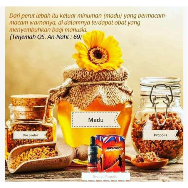 BRITISH PROPOLIS FOR KIDS | KHUSUS ANAK | VITAMIN ANAK NUTRISI OTAK KEKEBALAN TUBUH KESEHATAN ANAK P