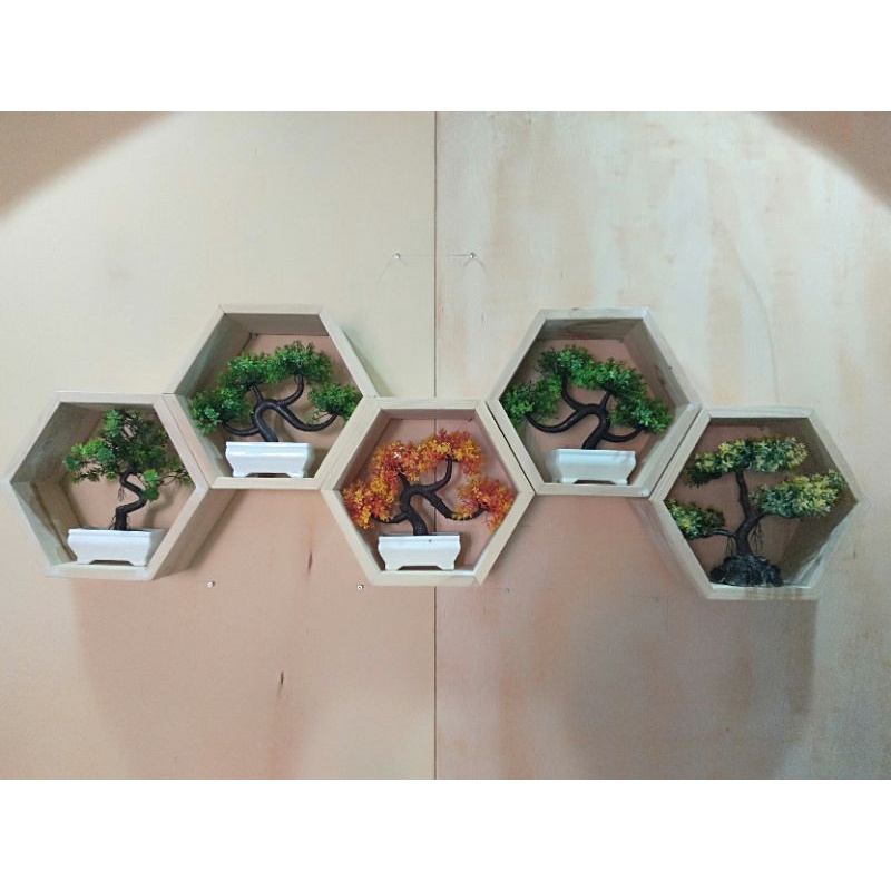 rak hexagonal/rak hexagonal murah/rak hexagonal hiasan dinding