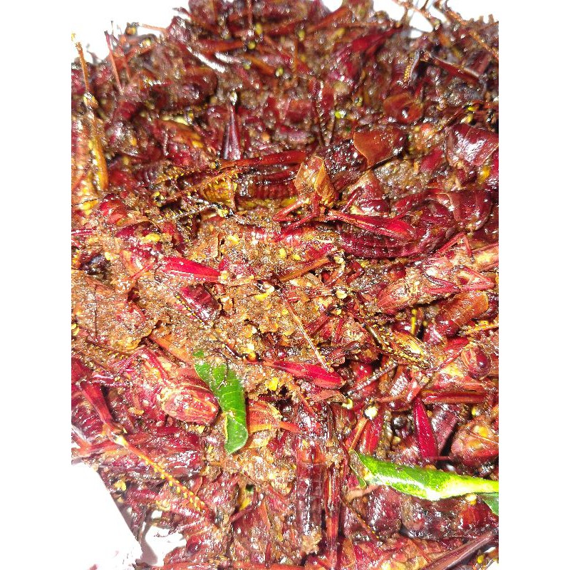 

belalang goreng nazil