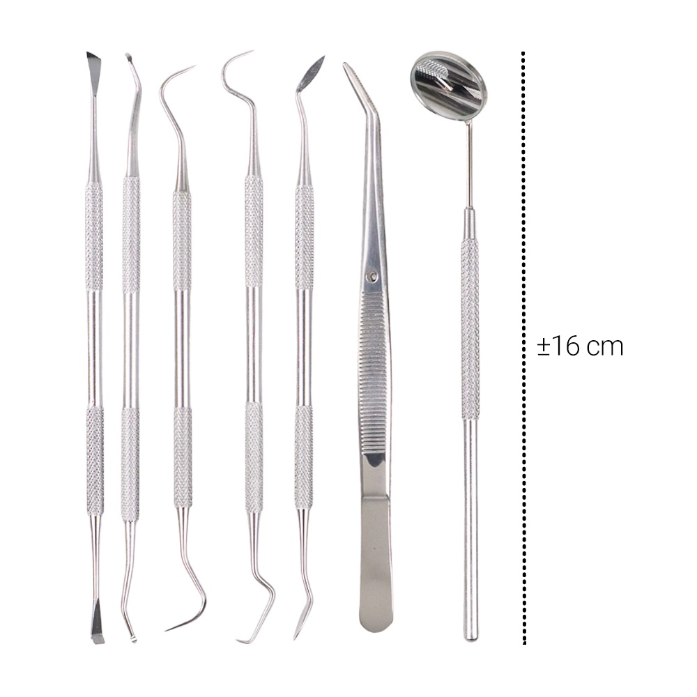 Alat Pembersih Gigi Set Dokter Gigi Dentist Dental Tool 7 PCS - 4012 - Silver