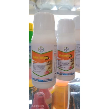 RUMPAS 100ml/ HERBISIDA RUMPUT PURNA TUMBUH /OBAT RUMPUT PERTANIAN