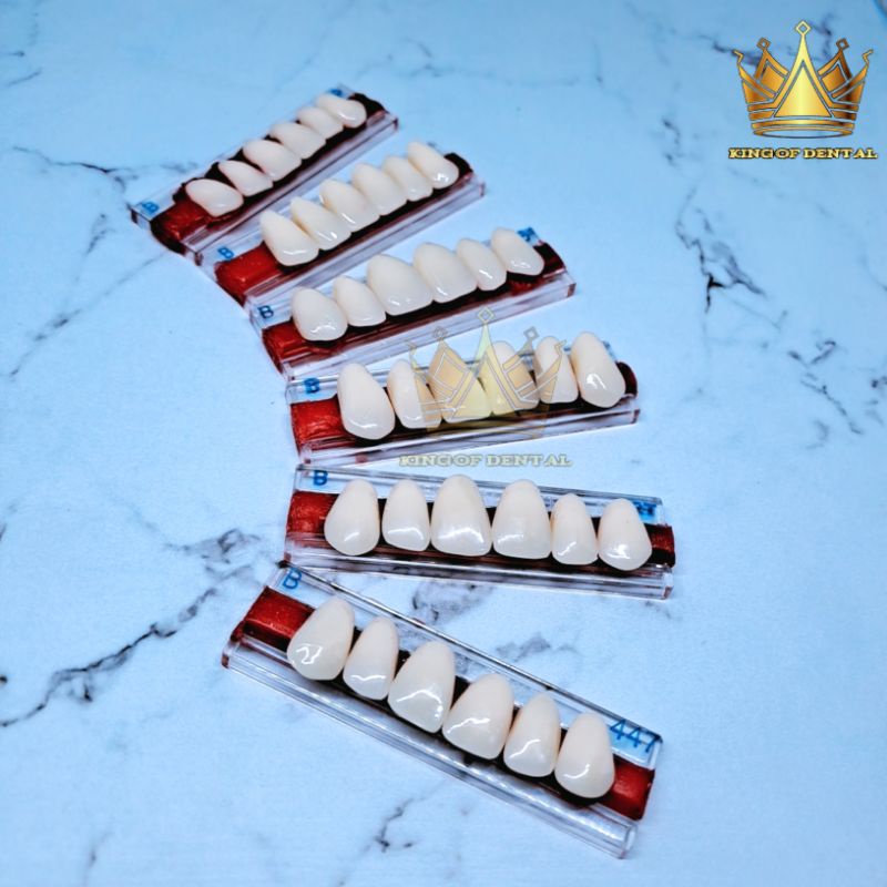 Italdent Gigi palsu Depan atas warna B Anterior Upper