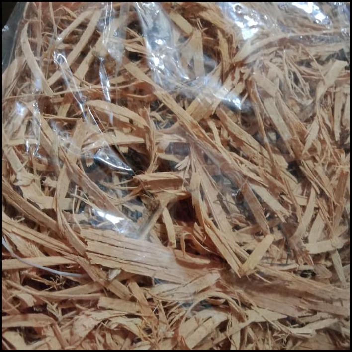 

Promo Terbatas - Widara Laut/Bidara Laut Kering 500Gr