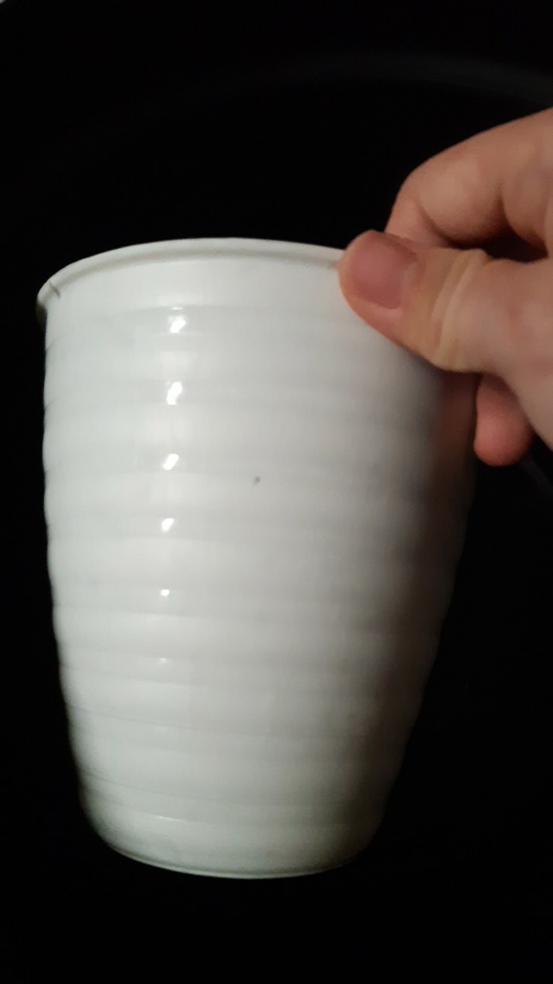 Pot Bunga Tanaman Pirus Madu Tinggi 12 Putih