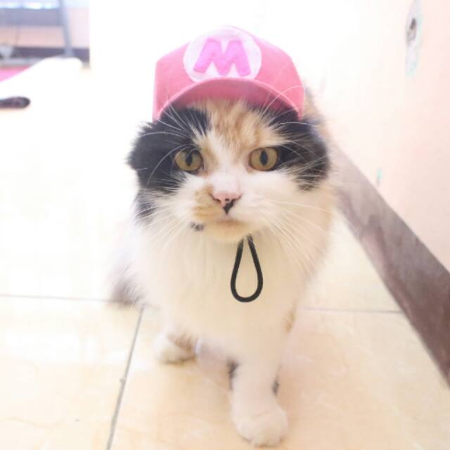 Topi mario lucu, inisial bisa dirubah / pilih warna dicatatan pembeli / baju kucing lucu