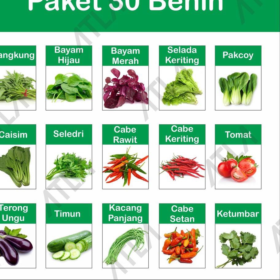 

KODE BARU 596 Paket 30 Benih Kebun Hidroponik Biji Bibit Jenis Sayur Sayuran Lengkap TERBARU..!!