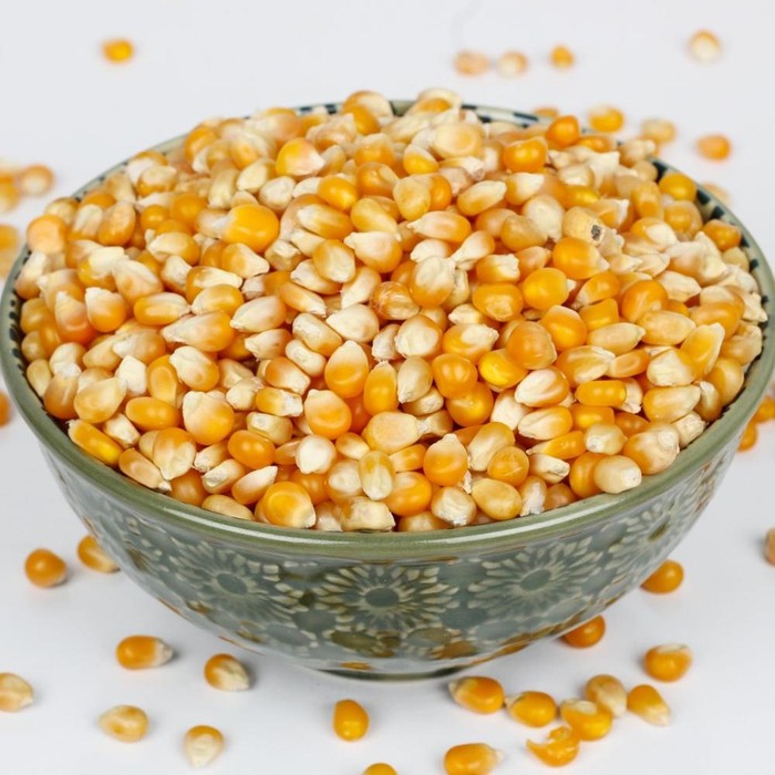 

Jagung popcorn mentah murah dan berkualitas 500g