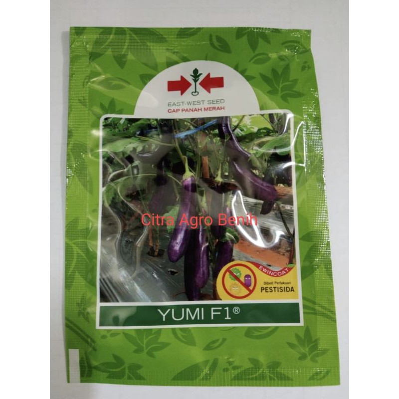 Benih Terong Yumi F1 isi 1.100