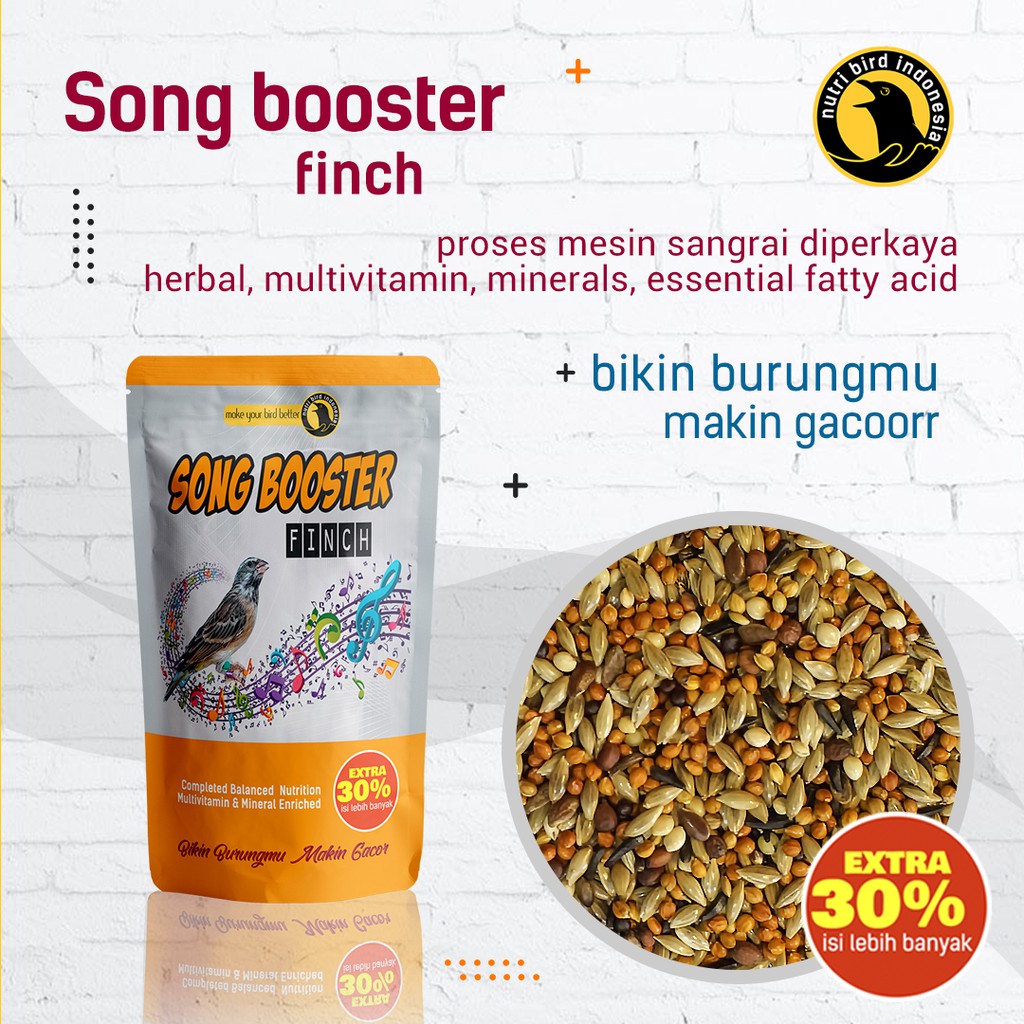 Pakan Gacor Song Booster Finch Blackthroat Sanger Mozambik