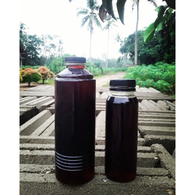 

Madu Klanceng