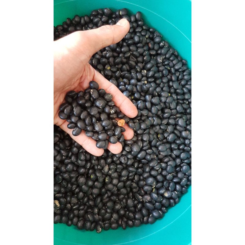 

Kacang Hitam - Ou Tau 500gr