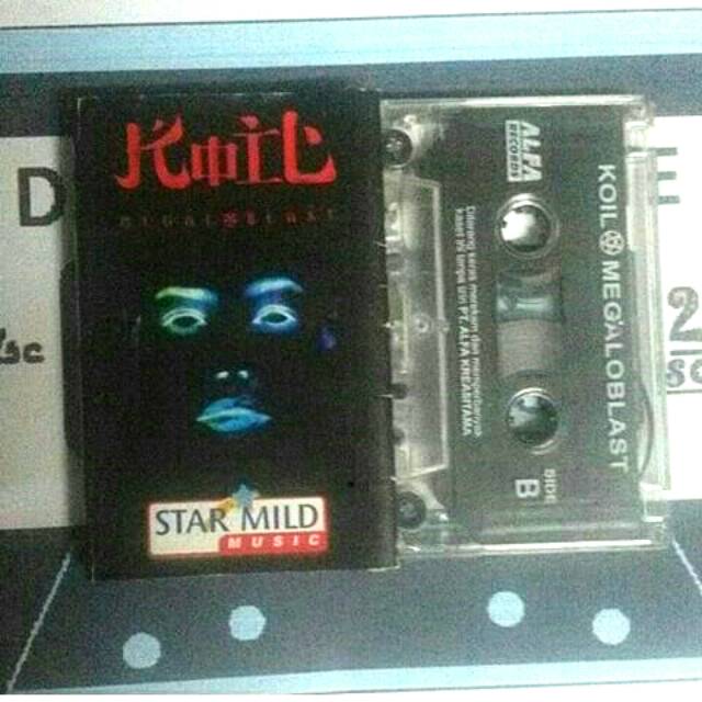 Kaset koil - megaloblast starmild