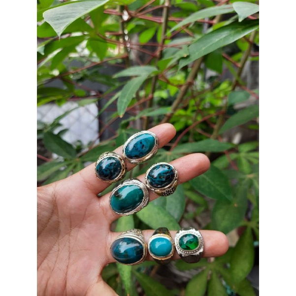 bacan natural doko mejiko coklat
