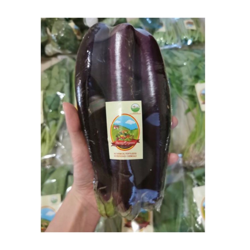 

Terong Ungu Organik || 500 gr- 1000 gr || Eggplant || Sayuran Organik