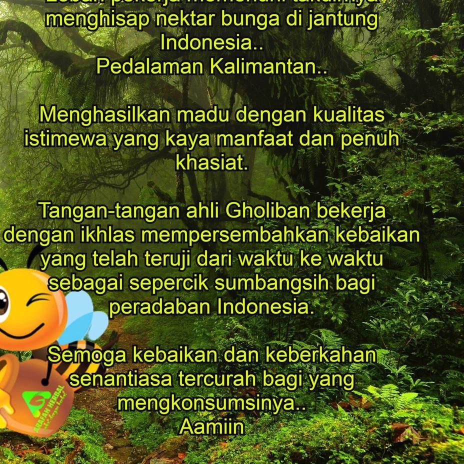 

12.12 KEMASAN BARU MADU HUTAN KALIMANTAN GHOLIBAN 1kg ㅃ