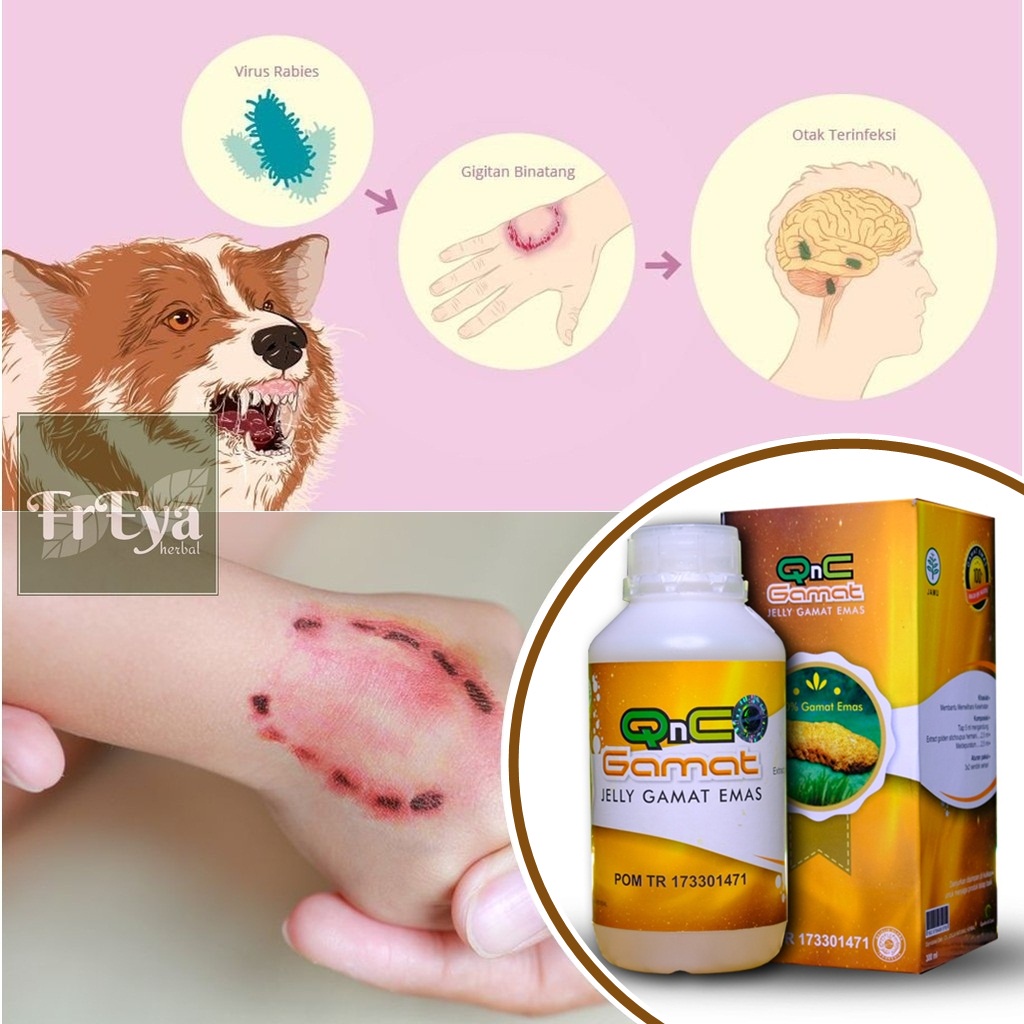 Obat Rabies - Perumperindo.co.id