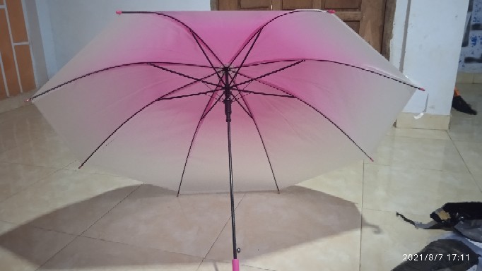 Payung Transparan 627