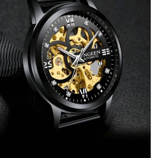 Special Price.. FNGEEN 6018 Jam Tangan Pria Mechanical Automatic  Luxury Business Original Tahan Air