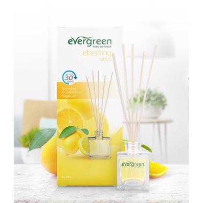 Evergreen Pengharum 30 ml PROMOO