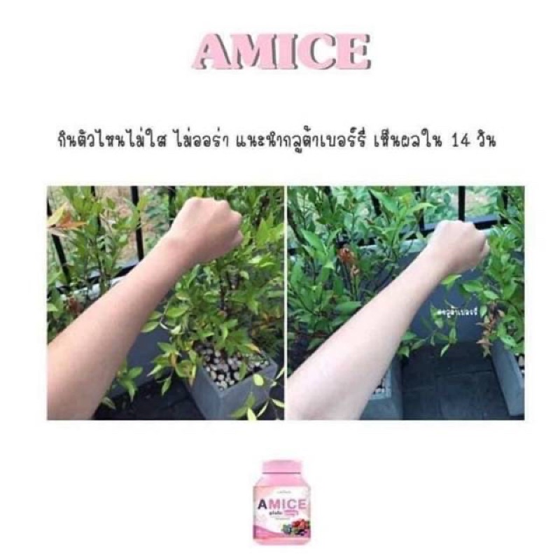 AMICE GLUTA BERRY  ORI BY COLLARICH WHITENING GLUTA