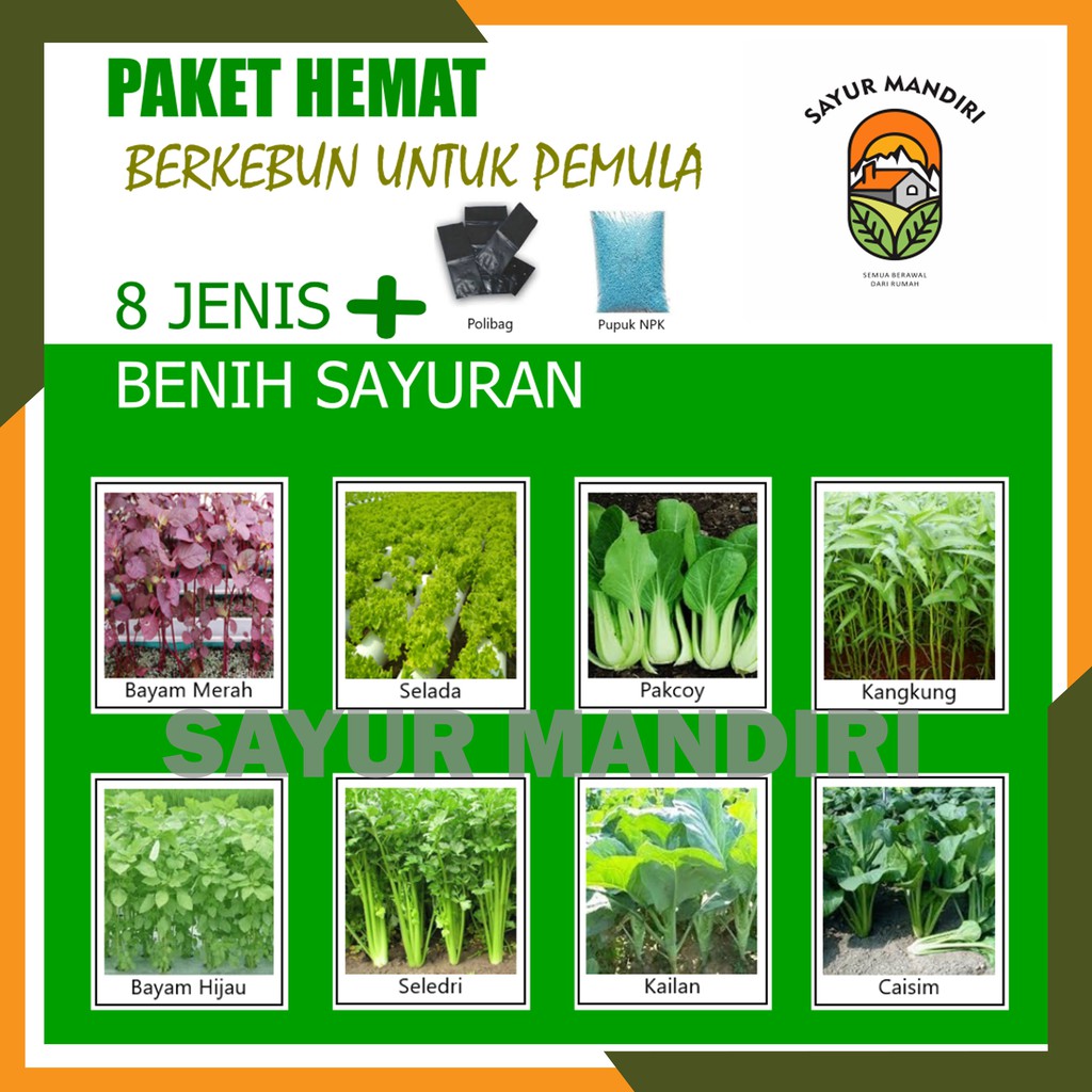 Paket Hemat Berkebun untuk Pemula