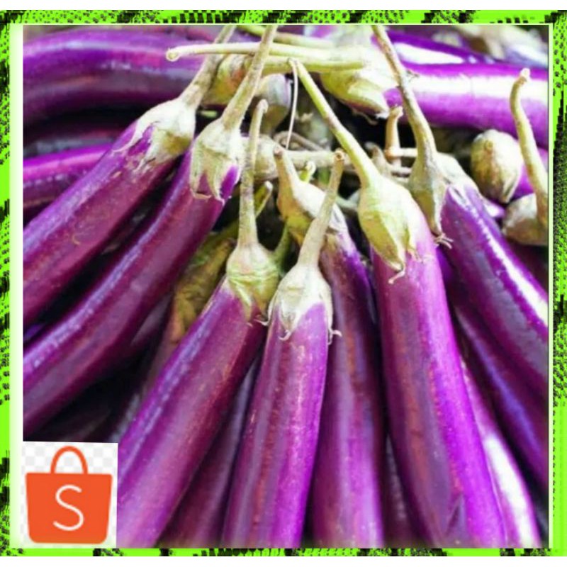 

Sayuran Terong Ungu segar 500 gram