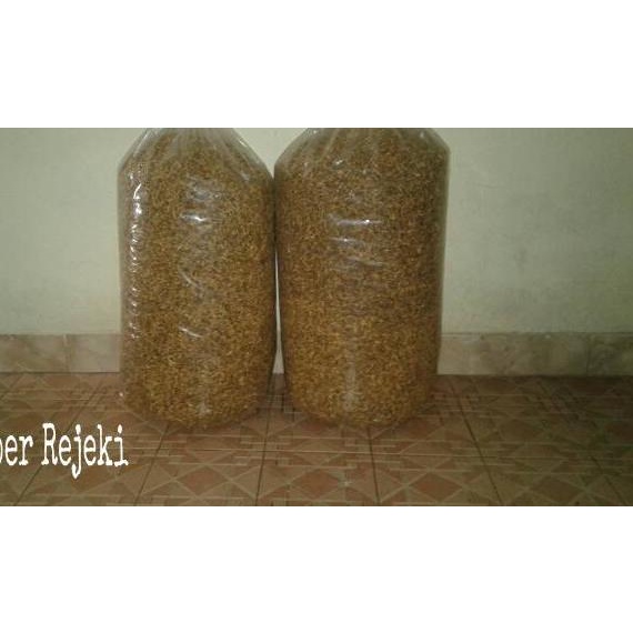 

COD Lorjuk Goreng | Termurah dan terbaik | Terbaru dan terlaris