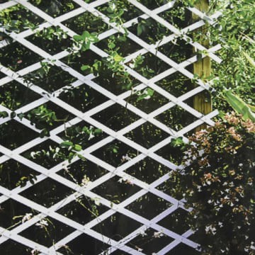 Kris Garden Teralis Plastik 1 x 3M Pagar Tanaman Rambat Dekorasi Ace Hardware