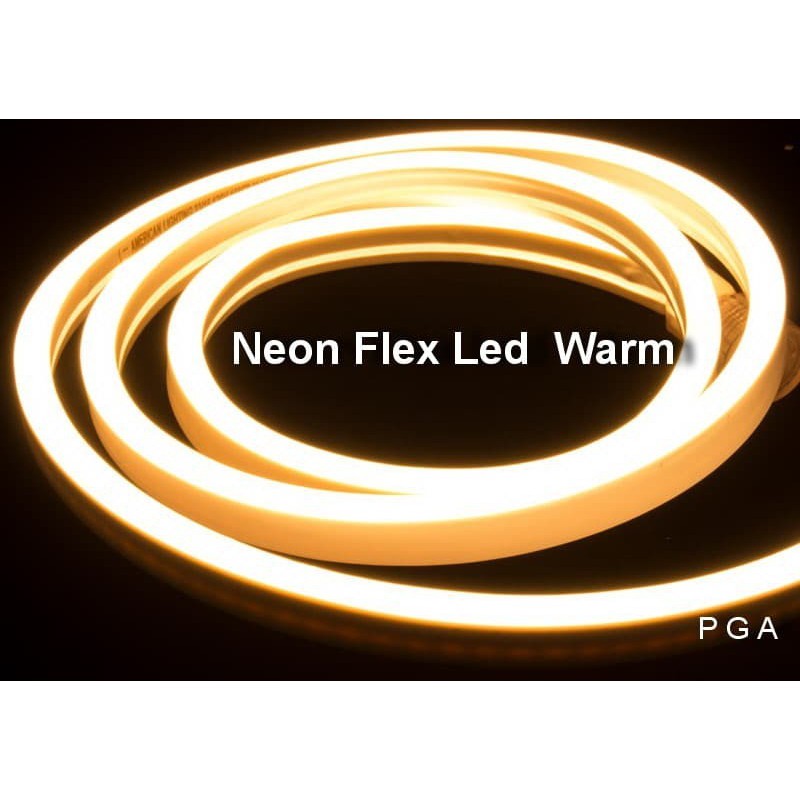 Lampu LED Neon FLEX Strip Light Flexible DC12V METERAN IP65 WATERPROOF