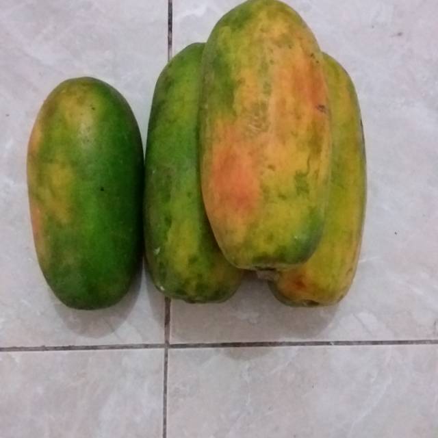 

Pepaya Madu Ganda Segar dan Sehat per biji Rp. 15.000