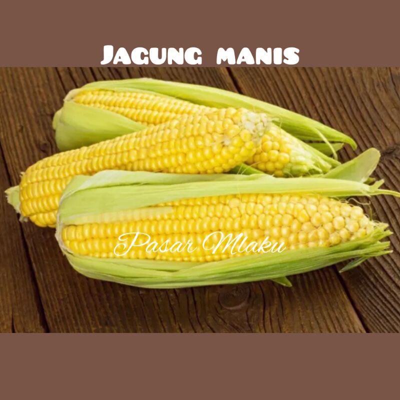 

JAGUNG MANIS PER PACK