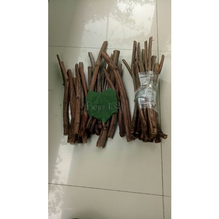 CUTTING ROOTSTOCK RED MASTER,  BELLA, ALFHONSO PERKG