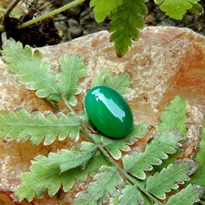 Batu Akik Mustika Aji Sukma