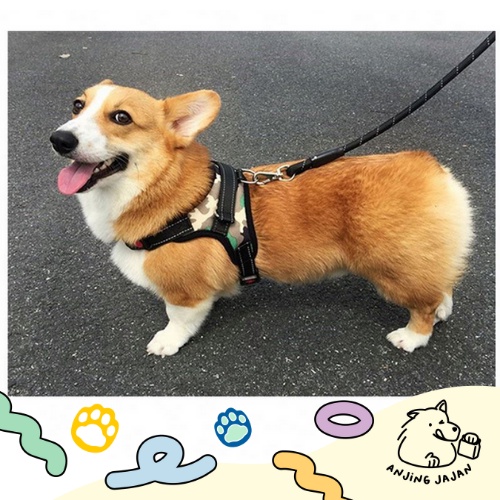 [PROMO] Rompi Hewan Anjing besar / Kucing | Dog vest | Pet Harness Anjing Besar / Kucing Breathable Anti Panas