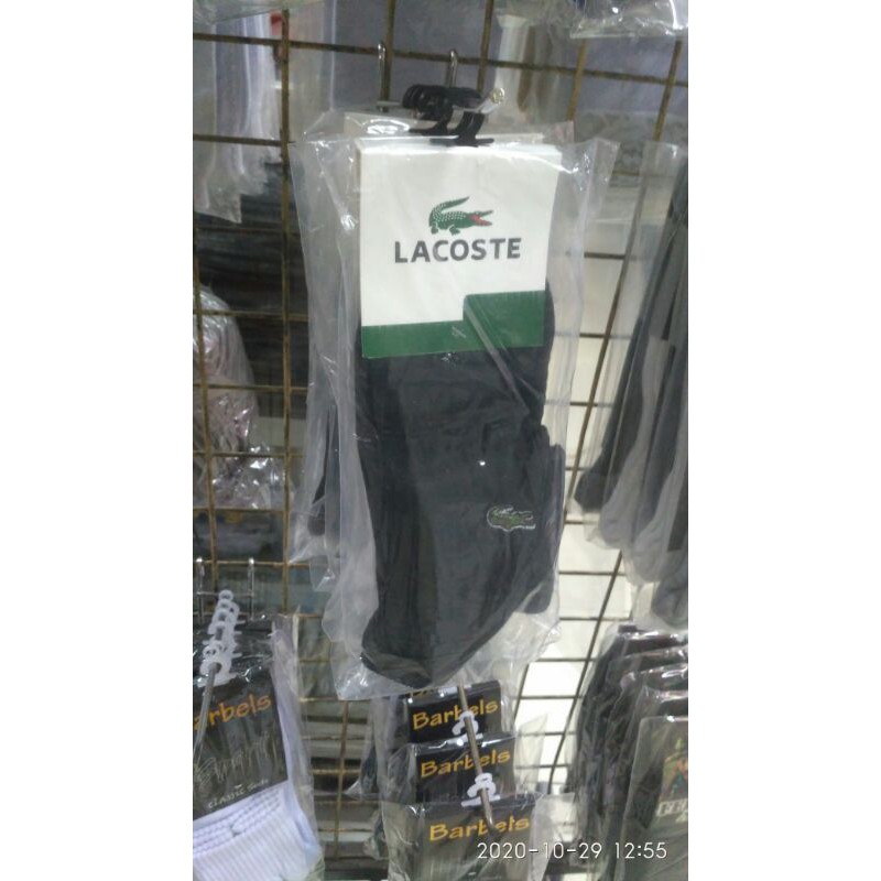 kaos kaki Lacoste