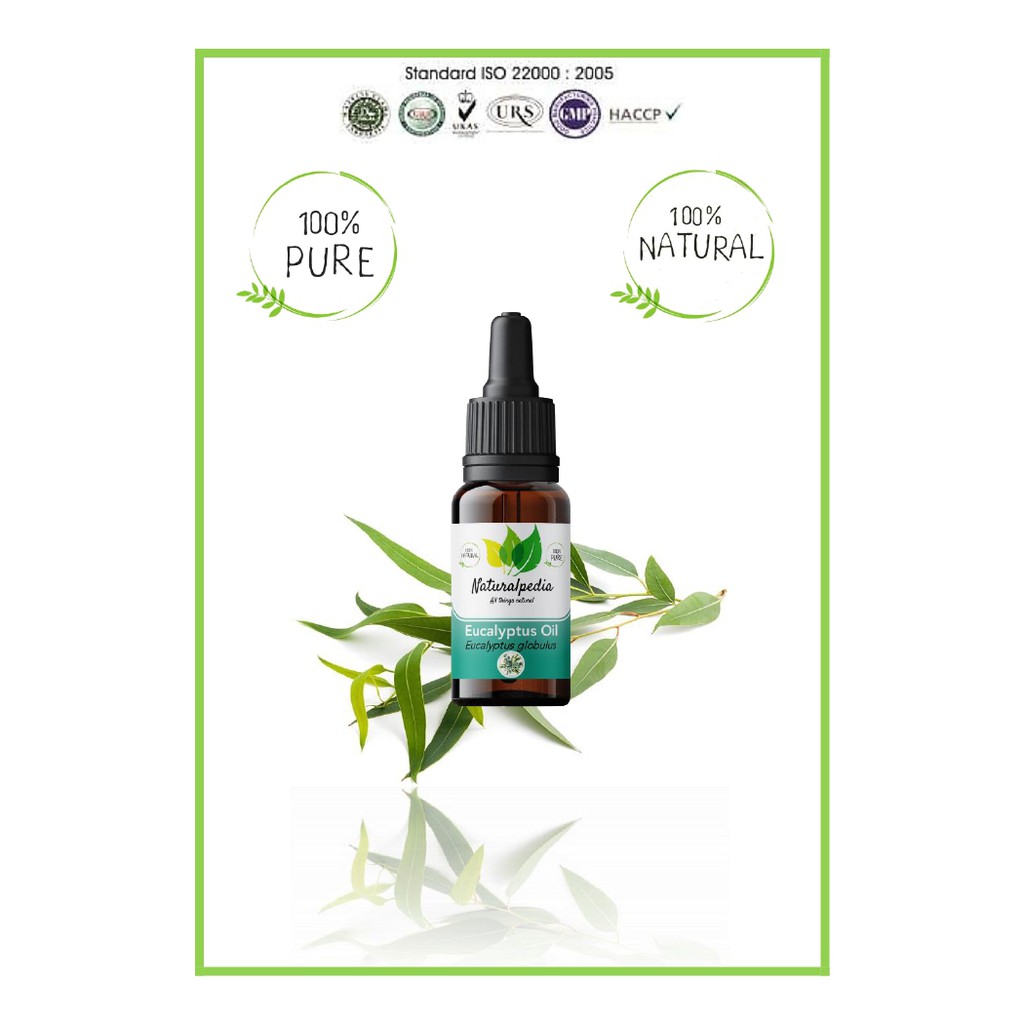 Pure Eucalyptus Essential Oil / MInyak Esensial Atsiri Eucaliptus Eukaliptus Murni 10ml