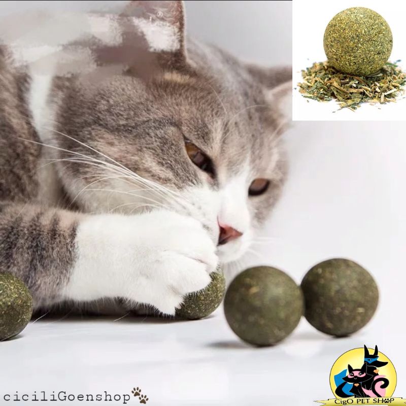 catnip ball murni catmint mainan kucing cat toys katnip