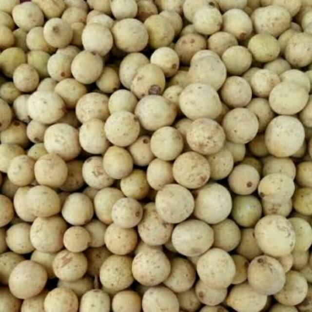 

Buah Duku Palembang per kg
