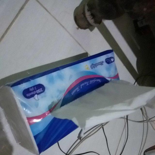 Tisu Tessa 250 Sheets 2 Ply