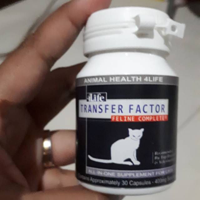 Vitamin imun kucing transfer factor feline  (TF) 60 kapsul