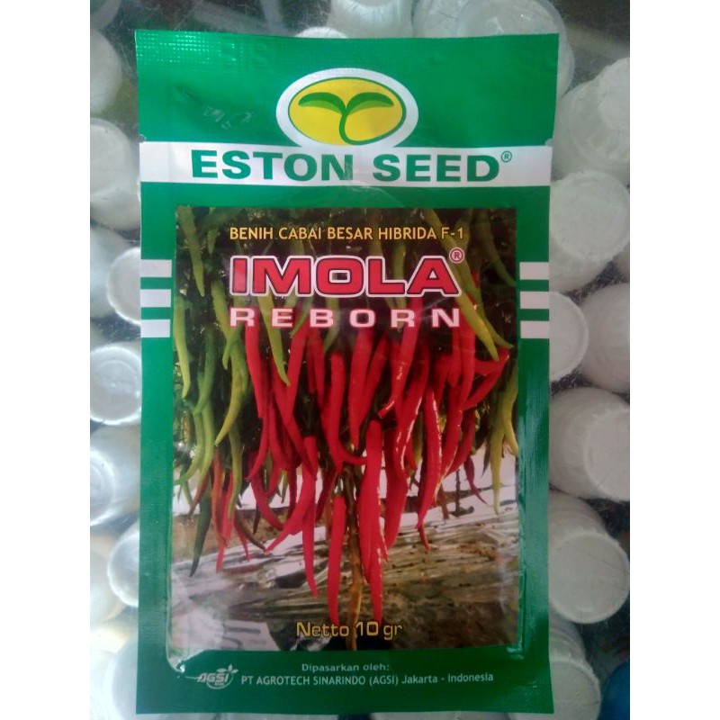 Benih Cabai Besar IMOLA REBORN 10gr