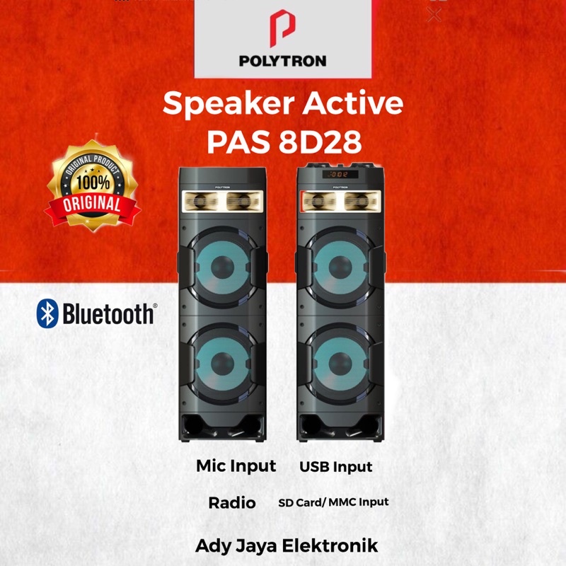 SPEAKER POLYTRON  PAS 10D28