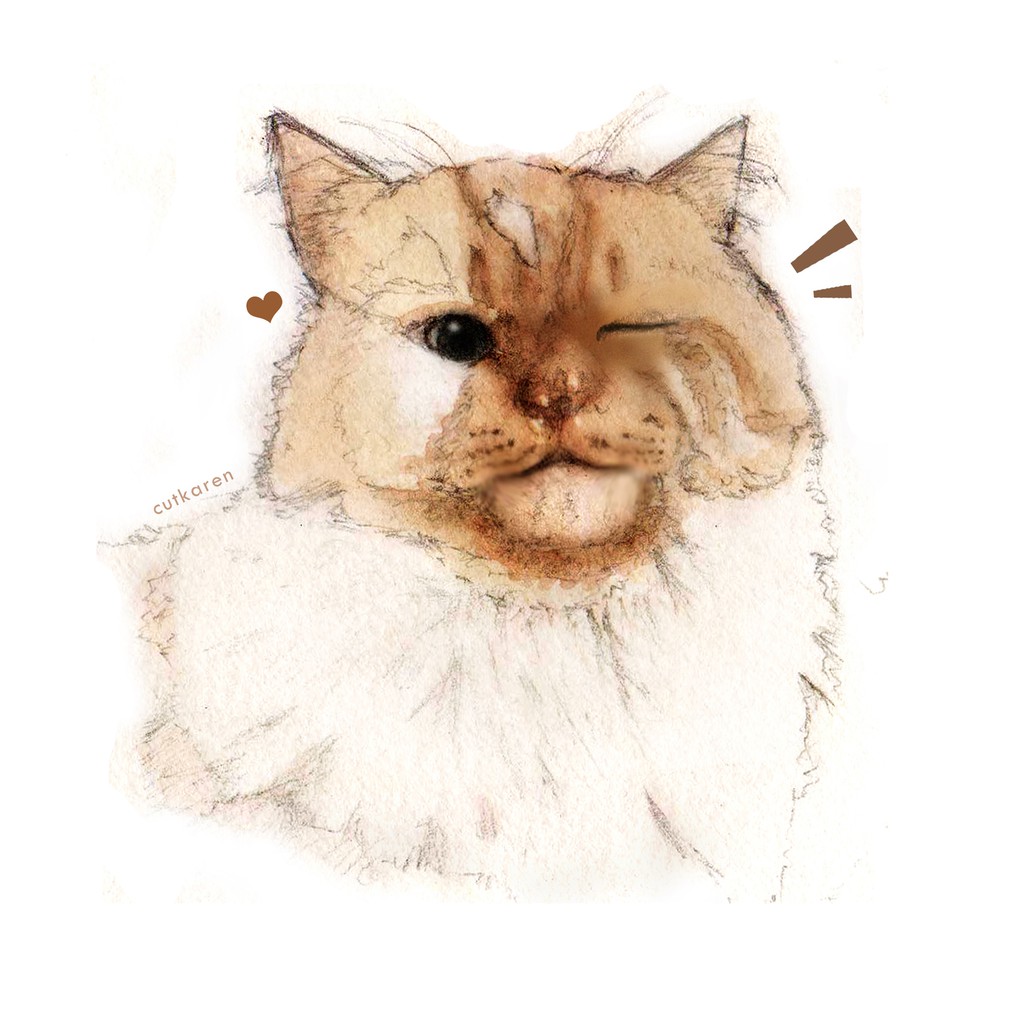 Kucing Sketsa Gambar Hewan Berwarna | Inapg Id