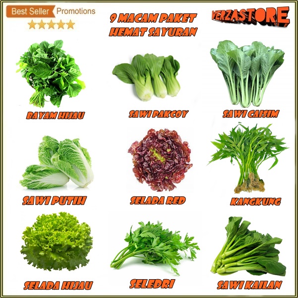 Jual biji benih Paket Hemat 9 Macam Benih Sayuran Daun 30 Hari Panen