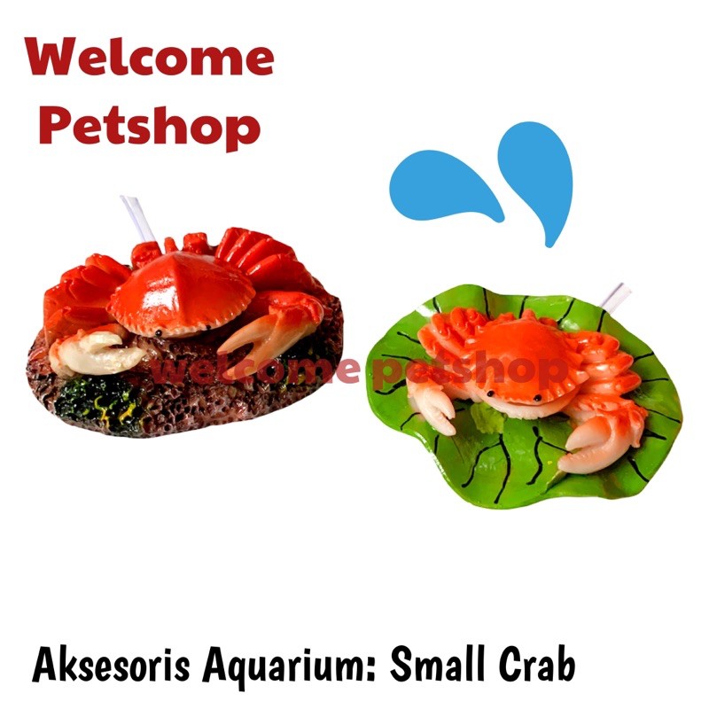 Small Crab / Kepiting Kecil / Aksesoris Aquarium / Hiasan Aquarium