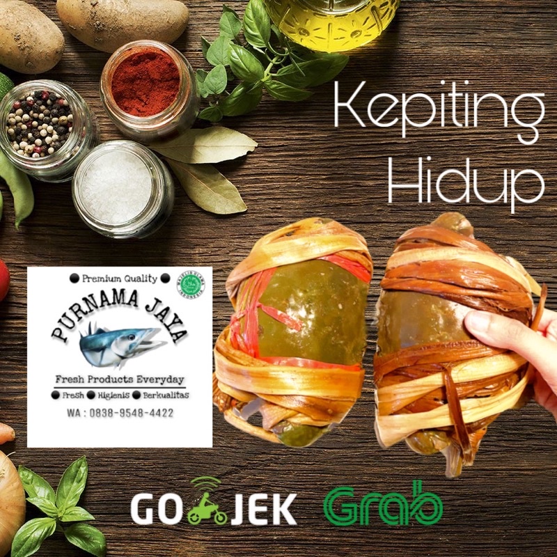 

Kepiting Hidup 1kg Fresh Bandung