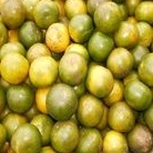 

jeruk medan 1kg