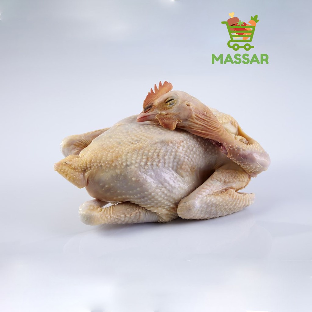 

AYAM KAMPUNG UKURAN LARGE 1 EKOR